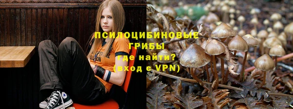 круглые Алзамай