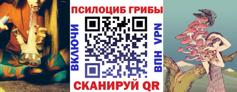 мега маркетплейс  Миасс  Псилоцибиновые грибы Cubensis 