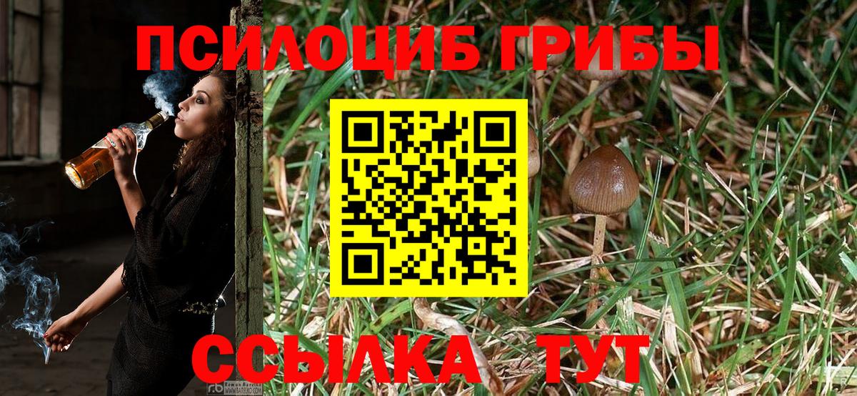 Псилоцибиновые грибы Cubensis Миасс